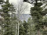 Lot 17 Palo Flechado Ridge Road - Photo 2