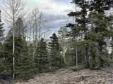 Lot 17 Palo Flechado Ridge Road - Photo 4