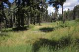 lot 83 Elk Horn - Photo 2