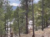XX Taos Canyon - Photo 2