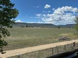 2350 State Highway 21 - Photo 22