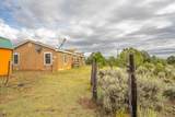 20 Calle De Golondrina S - Photo 40
