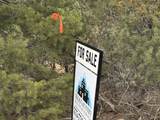 Tract 4 Verde Road - Photo 3