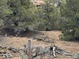 Tract 4 Verde Road - Photo 7