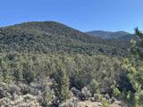 Tract 4 Verde Road - Photo 8