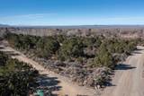 2 acre lot Cottontail - Photo 11