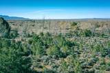 2 acre lot Cottontail - Photo 12