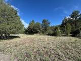 29655 Hwy 64 - Photo 10