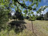 29655 Hwy 64 - Photo 12