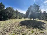 29655 Hwy 64 - Photo 3