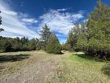 29655 Hwy 64 - Photo 4