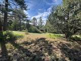 29655 Hwy 64 - Photo 6