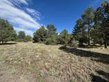 29655 Hwy 64 - Photo 8