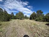 29655 Hwy 64 - Photo 9