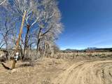  1 Plus Acres On Highway 522 - Photo 13