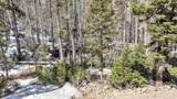 10 Lynx Drive - Photo 3