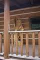 10 Touch Me Not Estates - Photo 25