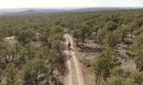 TBD Deer Mesa Rd - Photo 45