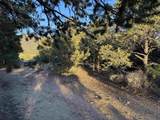 Tract C Jedidiah Rd - Photo 12