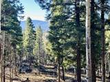 Lot 1142A Panorama Way - Photo 2
