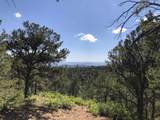 Tract B 266 Gallina Canyon Road - Photo 2