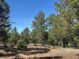 Tract B 266 Gallina Canyon Road - Photo 21