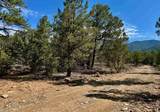 Tract B 266 Gallina Canyon Road - Photo 22