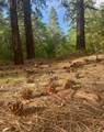 Tract B 266 Gallina Canyon Road - Photo 6