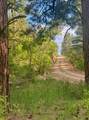 Tract B 266 Gallina Canyon Road - Photo 8