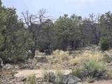  Lobo Ranch Road - Photo 10