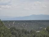  Lobo Ranch Road - Photo 12