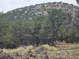  Lobo Ranch Road - Photo 8