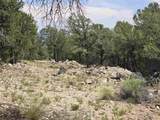  Lobo Ranch Road - Photo 9
