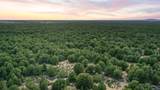  South Carson Road 39 Acres - Photo 14