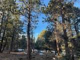 lot 352 Vail Loop - Photo 4