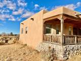 493 Palomita Court - Photo 22