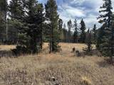 Lot 83 Elk Meadow - Photo 2