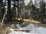Lot 83 Elk Meadow - Photo 6