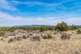 359 Mm 359 Us Highway 285 40 Acres - Photo 17