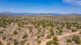 359 Mm 359 Us Highway 285 20 Acres - Photo 10