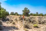 359 Mm 359 Us Highway 285 20 Acres - Photo 8