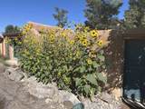 17A Valerio Road - Photo 37