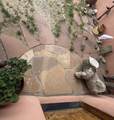 15 Calle Del Sol - Photo 29
