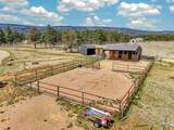 25 Jarosa Creek Rd - Photo 13