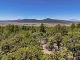 Lot 58 Upper Penabete - Photo 18