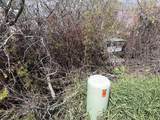 45 Las Animas Road - Photo 16