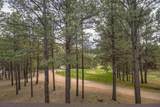 51 St Andrews Way - Photo 47
