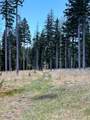215 Pleasant Meadow - Photo 34