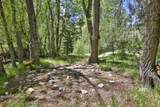 443 Cabresto Creek Road - Photo 39