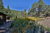 443 Cabresto Creek Road - Photo 41